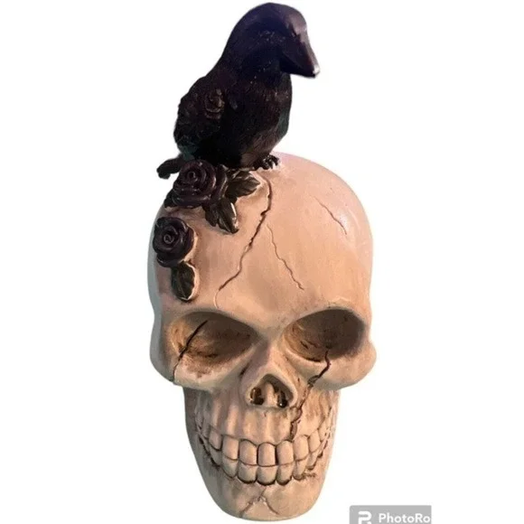 Skull With Crow and Purple Rose Flowers - Picture 1 of 5